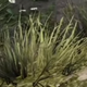Image for article titled 10 Clumps Of Grass In Video Games